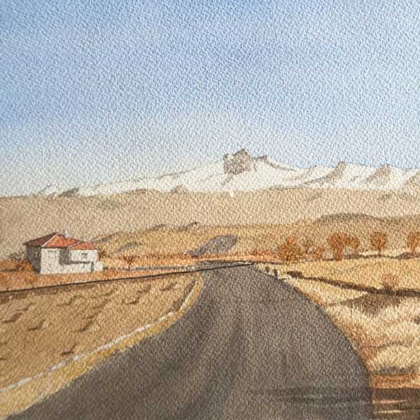 Untitled (New Mexico) by Nancy Roberts, Image 1.