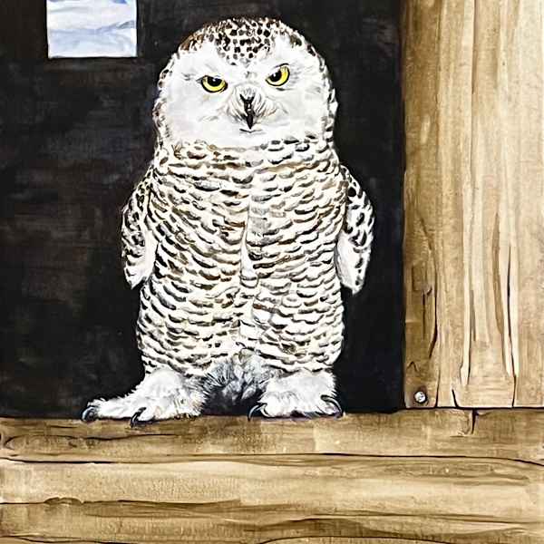 Baby Barn Owl by Brian Hindson, Image 1.