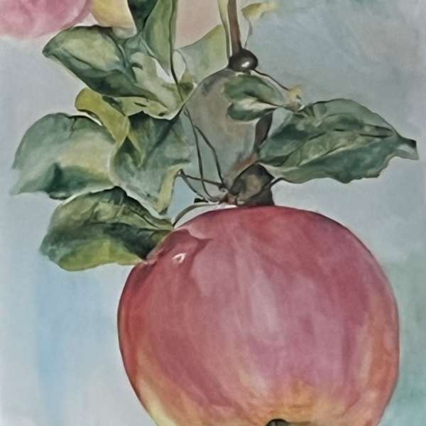 Apple by Adam Young, Image 1.