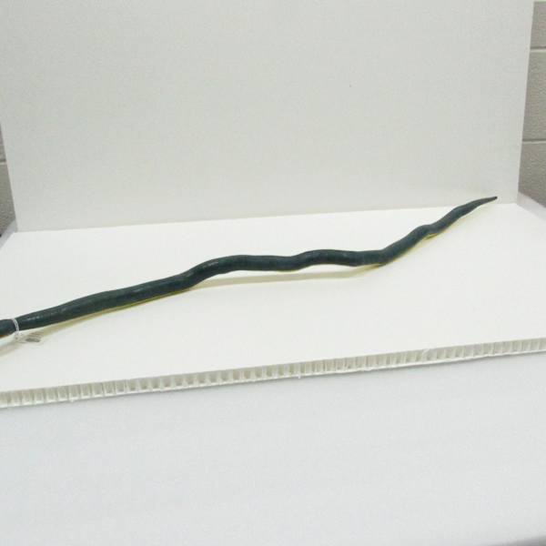 Painted Wood Snake - Green and Yellow by Oscar Spencer, Image 1.