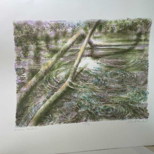 River Snag by Robert Burkert, Image 1.
