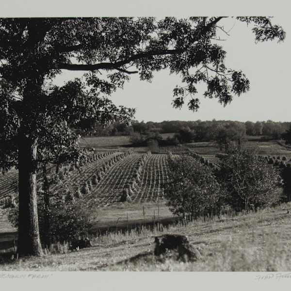 Wisconsin Farm by Fran Achen, Image 1.