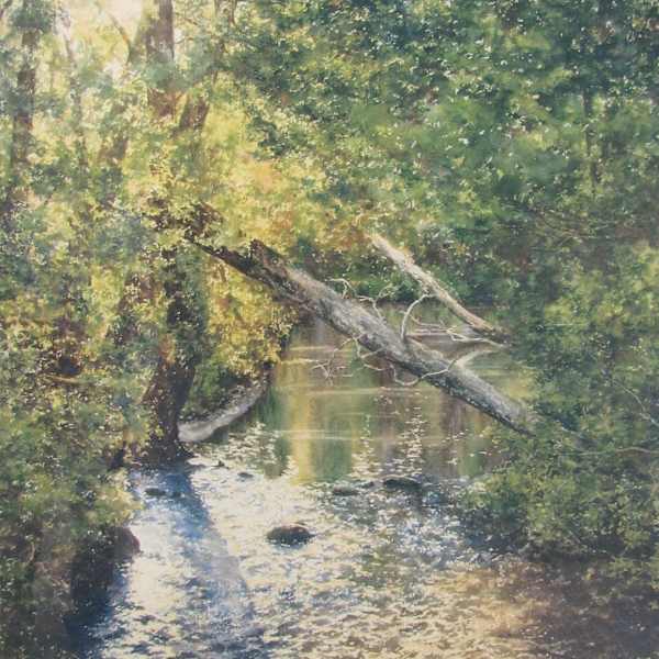 Nature's Champagne by Connie Glowacki, Image 1.