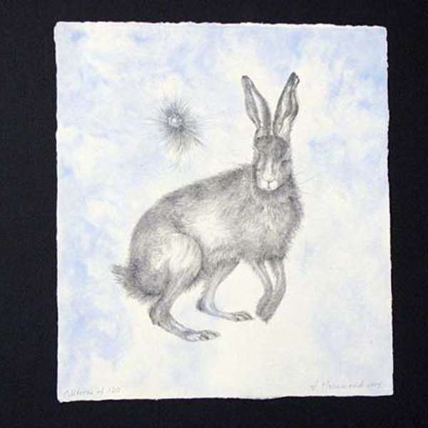 Hare by Valerie Hammond, Image 1.