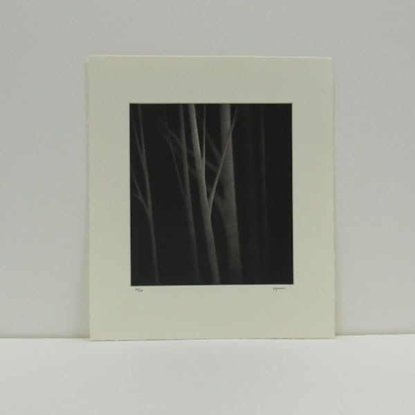 Incandescense II by Robert Kipniss, Image 1.