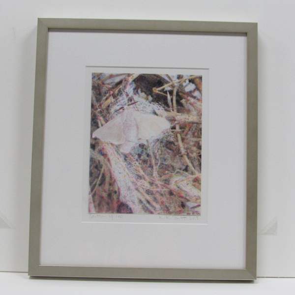 Silk Moth by Kiki Smith, Image 1.