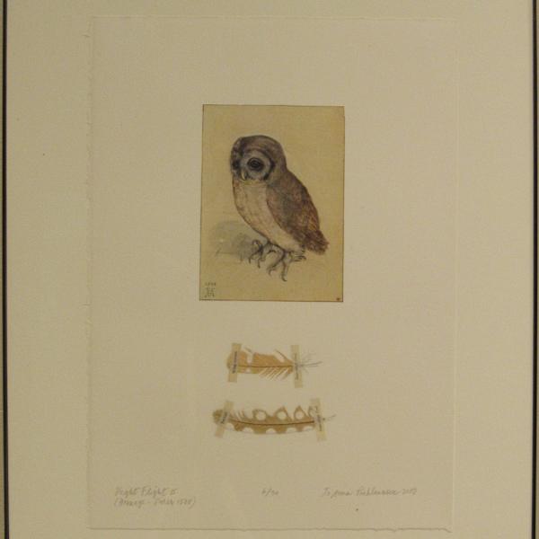 Night Flight II (Homage - Durer, 1508) by Jo Anna Poehlmann, Image 1.