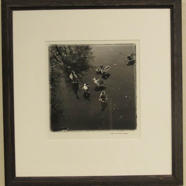 Untitled (Ducks on a Pond) by John Murray Mason, Image 1.