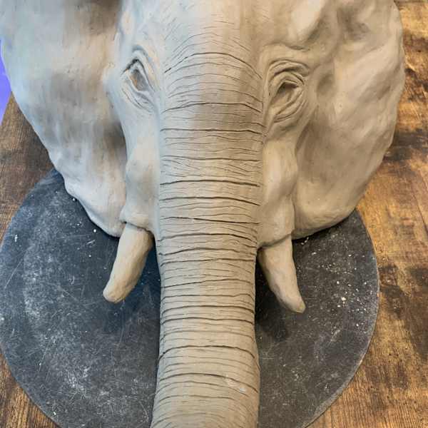 Elephant In The Room by Nell Choi - Neuromyelitis Optica, Image 1.