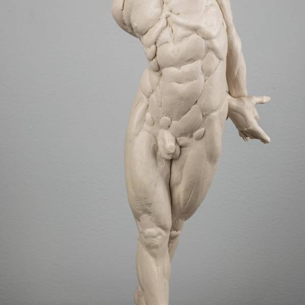 A Curious Direction by Daniel Williams, Image 1.