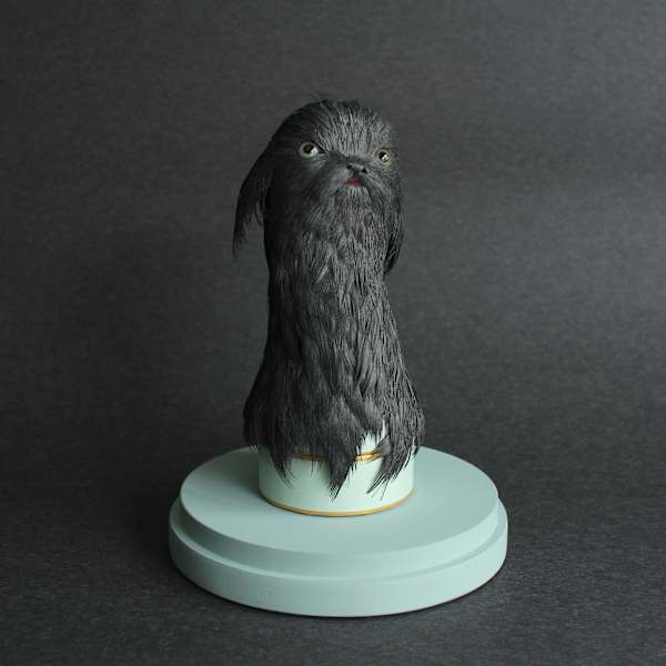 A Rare & Dubious Thing by Alexandra Lukaschewitz, Image 1.