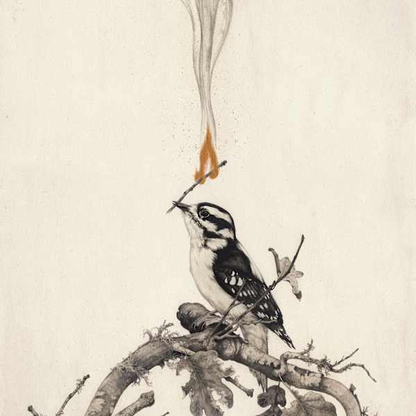 Birth of the Picicene by Teagan White, Image 1.
