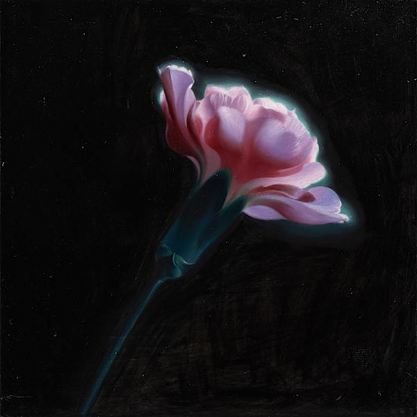 Carnation by Ling Ly, Image 2.