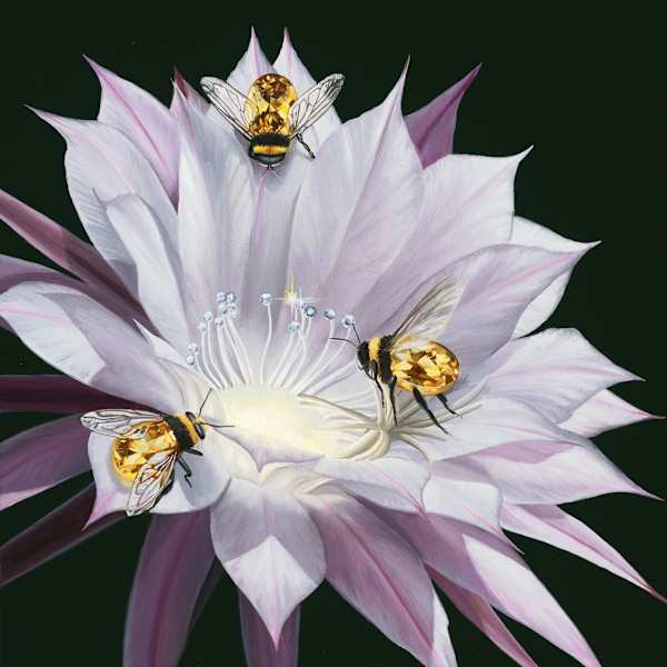 Antherine by Jon Ching, Image 1.