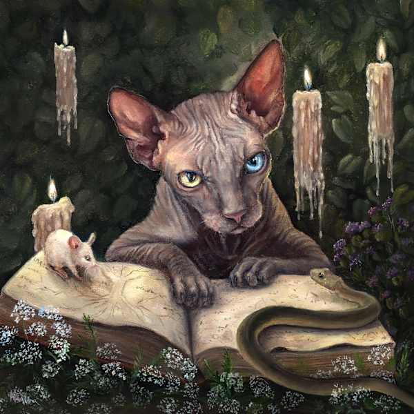 Mortimer by Kyra Wilson, Image 3.