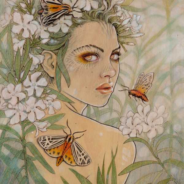 Nerium by Fay Helfer, Image 1.