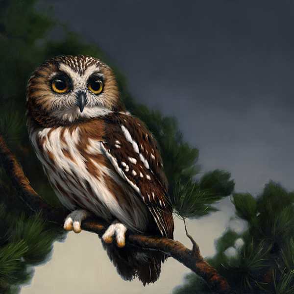 Into the Night by Vanessa Foley, Image 1.