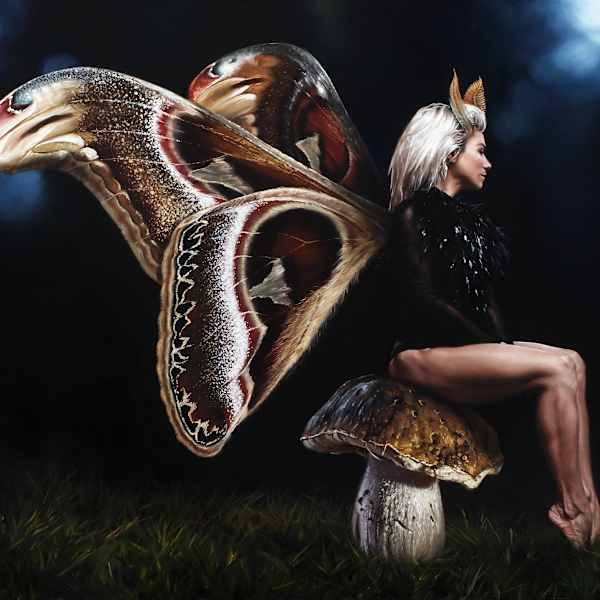 Pixie by Victor Grasso, Image 19.