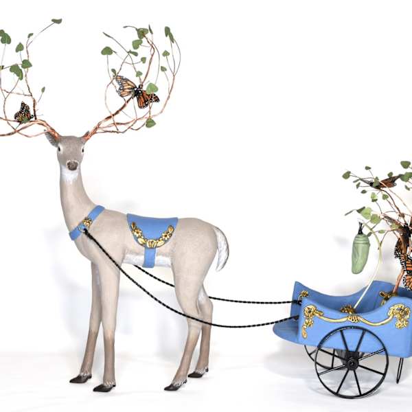 A Grand Migration by Nikole Cooney, Image 1.
