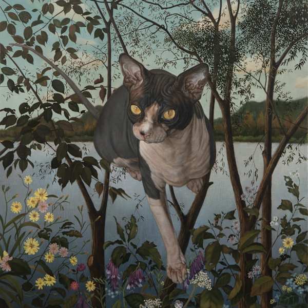 A Sphynx Cat by Cho Hyeon Jung, Image 1.