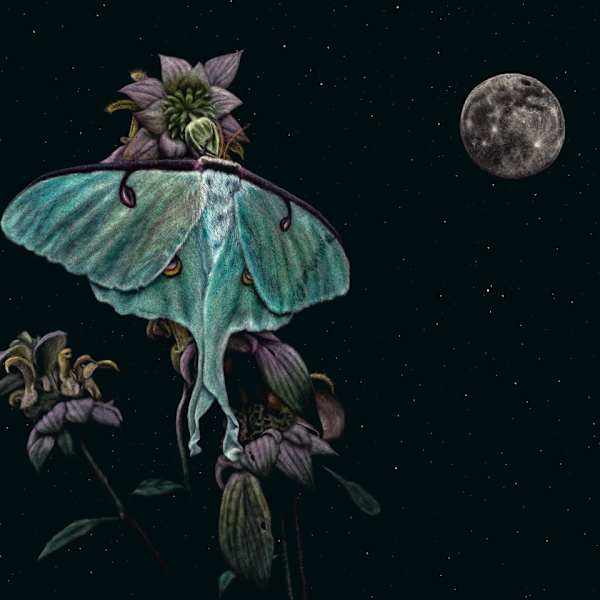 Lunar Transcendence by Brittany Johnson, Image 1.