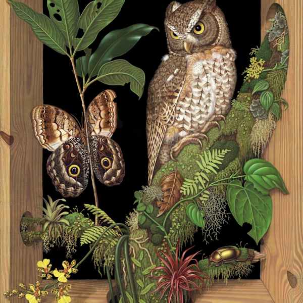 Cabinet for Magritte by Madeline von Foerster, Image 1.