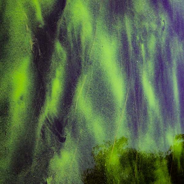 Dreams In The Greens by Cordelia Cornish, Image 2.