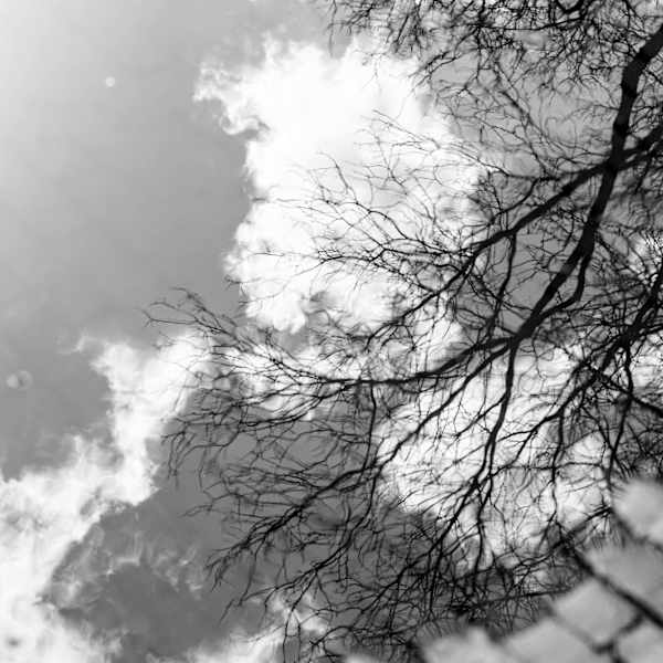 Untitled by Nancy Gonzales, Image 1.