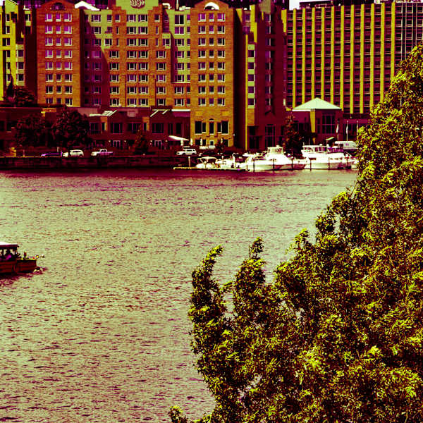 Golden Voyage by Elijah "Jah" Otero, Image 2.