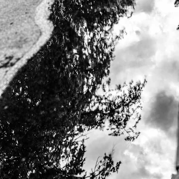 Fleeting Illusions by Rose Narcisse, Image 2.