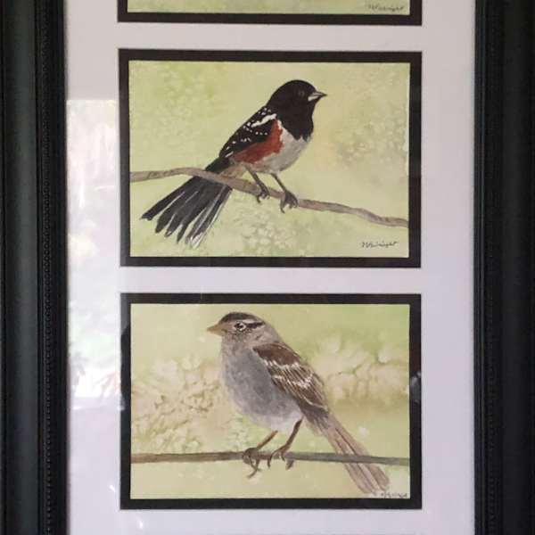 Backyard Birds by Nancy Wright, Image 1.