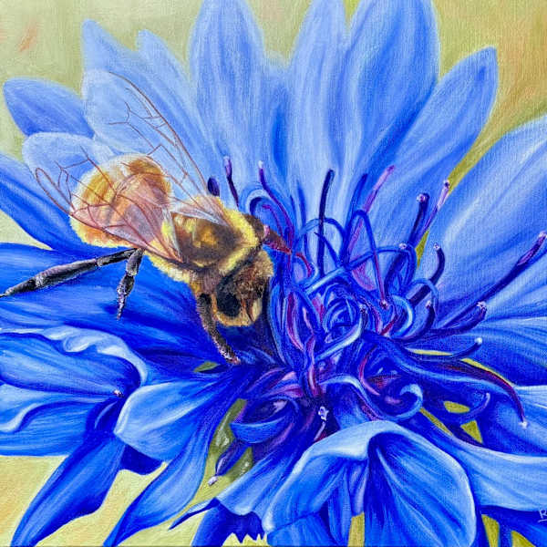 The Bachelor and the Bee by Elizabeth Backman, Image 1.