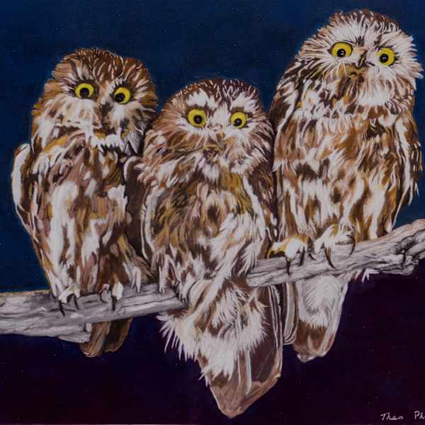 We Three Owls by Thea Phillips, Image 6.