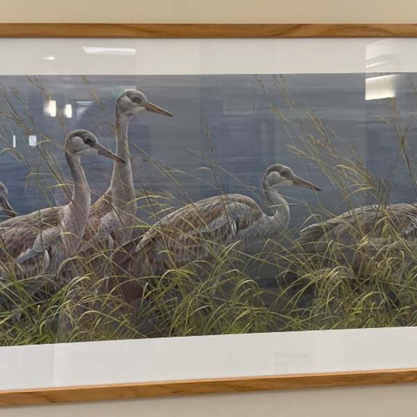Untitled by Robert Bateman, Image 1.