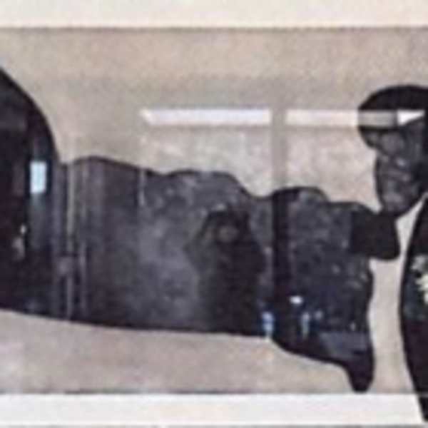 Il Mostro (The Monster) by Victor Pasmore, Image 1.