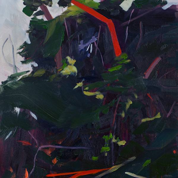 Anhinga Trail by Harumi Abe, Image 1.