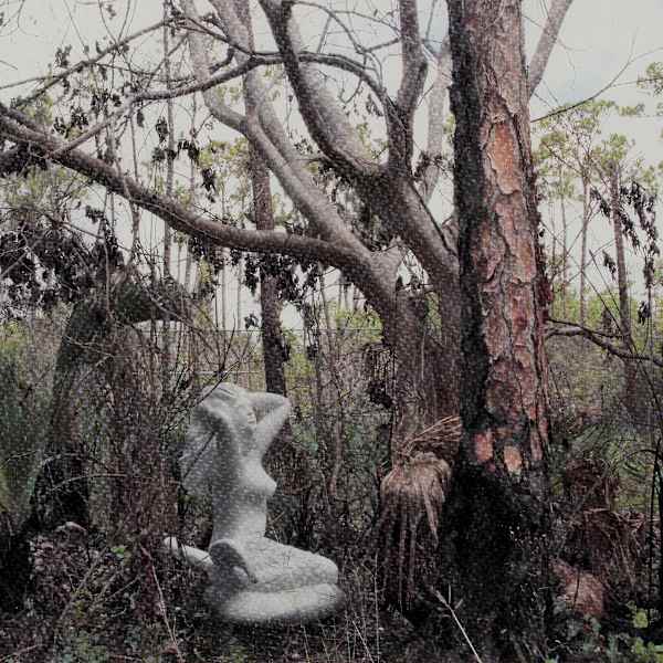 The Nature of Things by Keren Anavy, Tal Frank, Image 1.