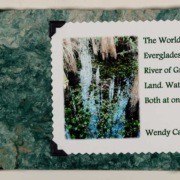 The World's Only Everglades ~ River of Grass: Land. Water. Both at Once by Wendy Call, Image 1.