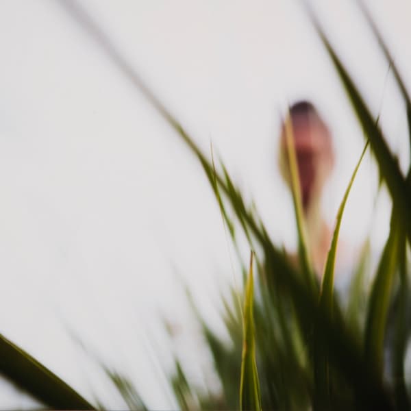 Untitled by Dale Andree, Image 1.