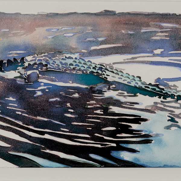 Unknown(alligator swimming in water) by Carol Carter, Image 1.