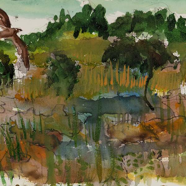 Osprey and Watery Prairie by Shannon Bueker, Image 1.