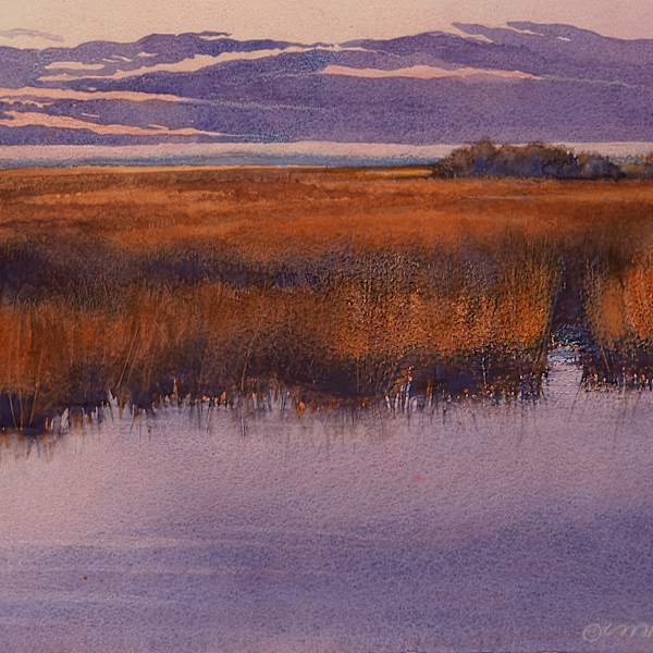 Everglades Dawn by Marilynn Brandenburger, Image 1.