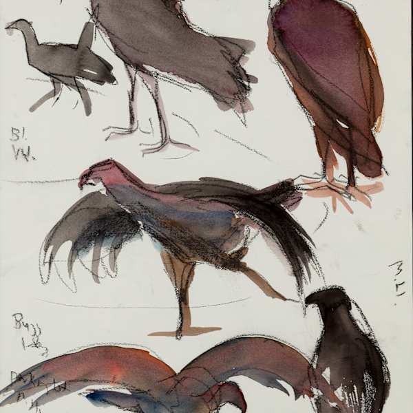 Vultures by Shannon Bueker, Image 1.