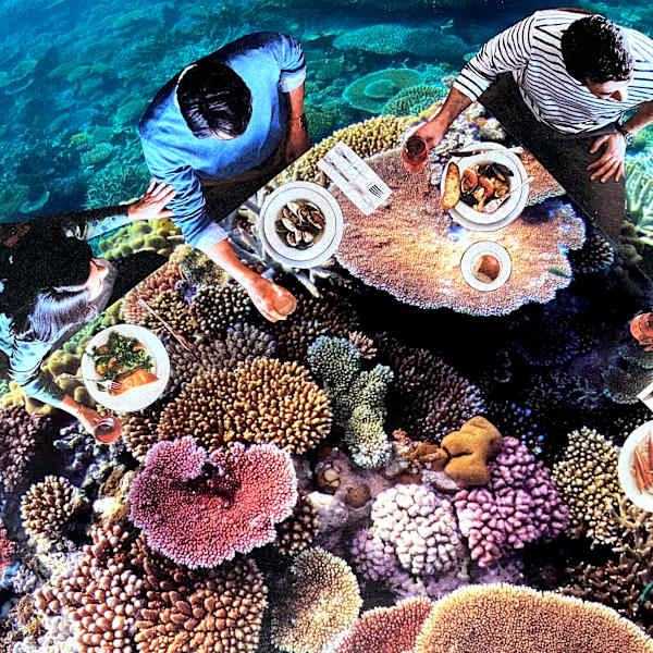 Aquaculture by Riley Peterson, Image 1.