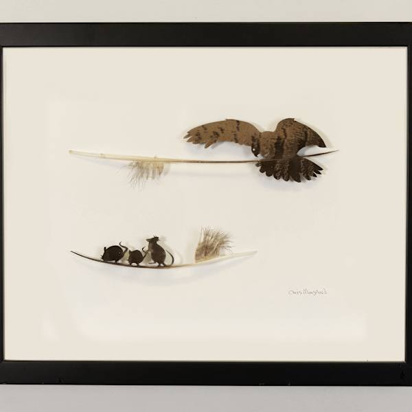 Hover by Chris Maynard, Image 1.