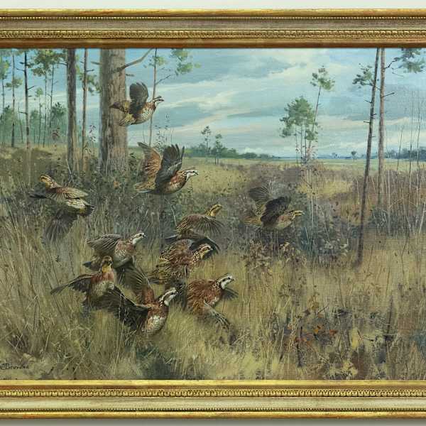 In the Pinelands by George Browne, Image 1.