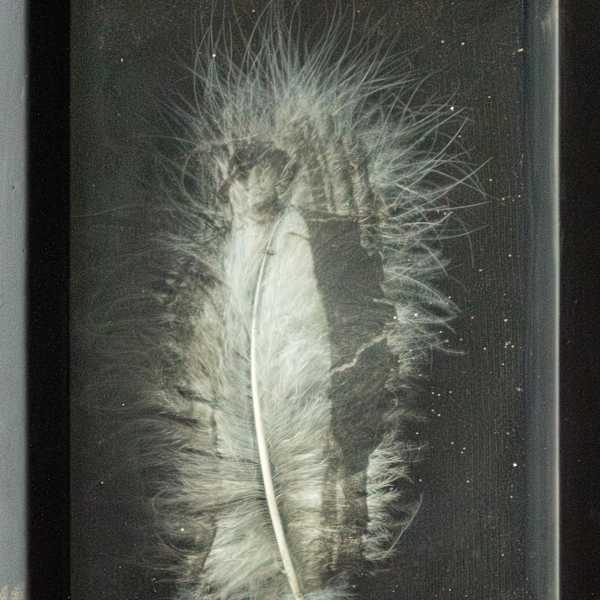 Great Grandma Betty by Ann Johnson, Image 17.