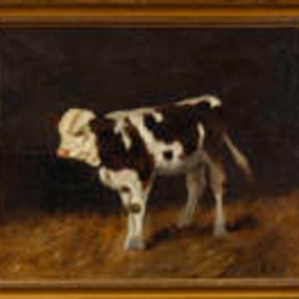 Boci by Illés Aladár Edvi, Image 1.