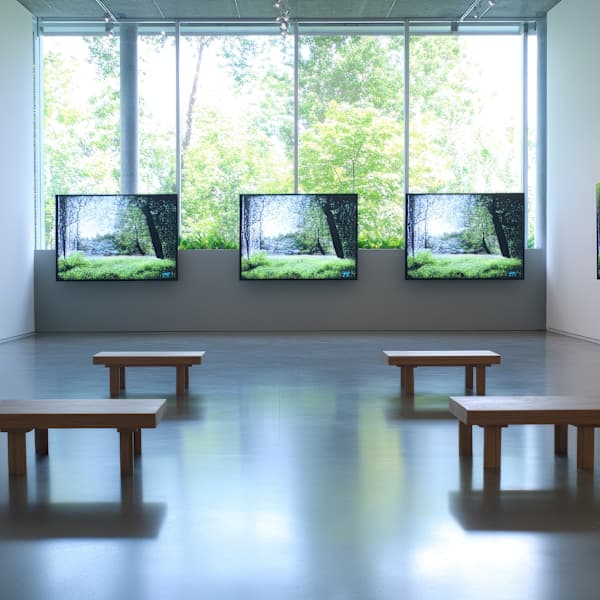 Intervals of Light by Eveline Marceau, Image 1.