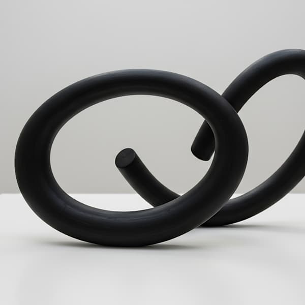 Entangled Orbits by Marina Holt, Image 1.